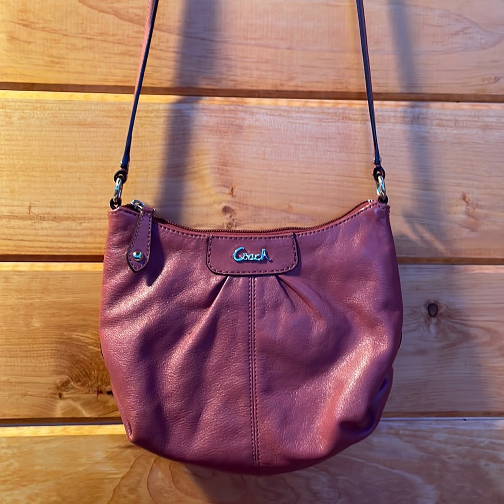 Coach Ashley Leather Swingpack